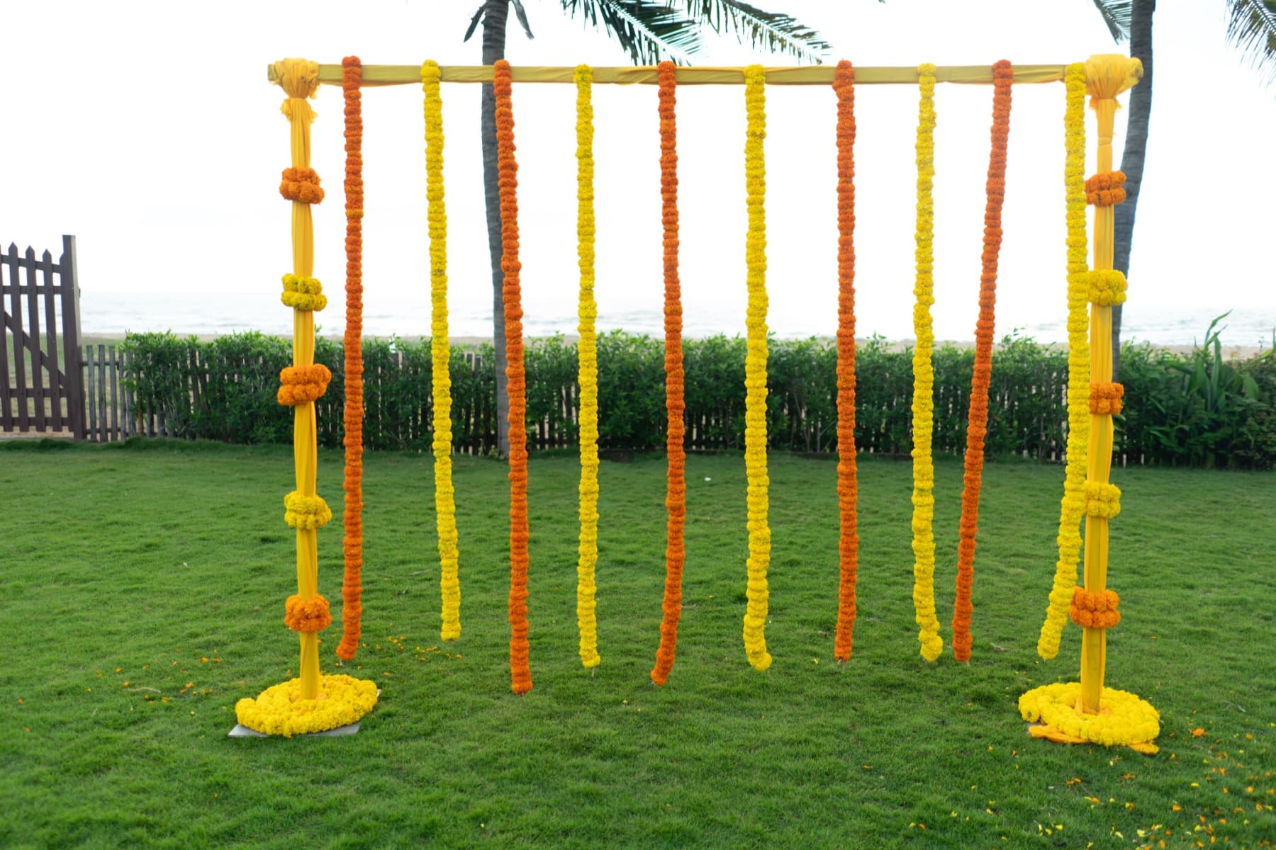 Marigold Strand Backdrop
