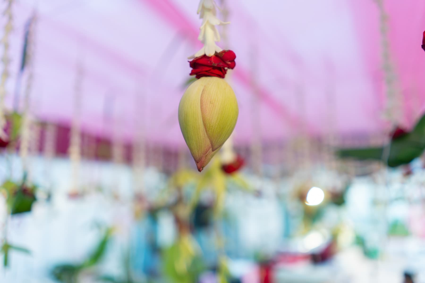 Banana Flower & Rose Garland